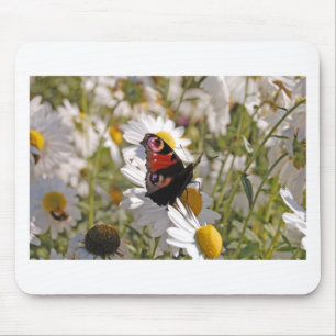 Tapis De Souris Papillon noir violet rouge sur les marguerites