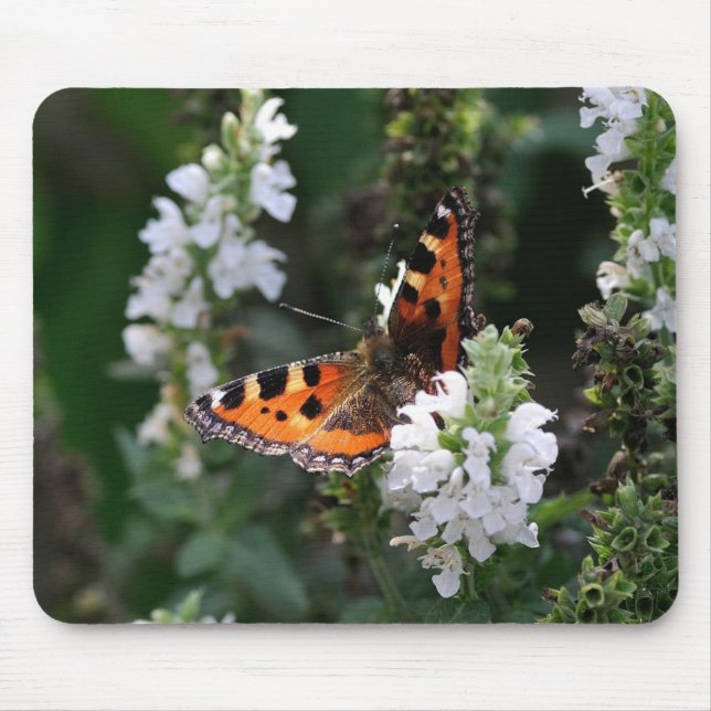 Tapis De Souris Papillon orange et fleurs blanches (Devant)
