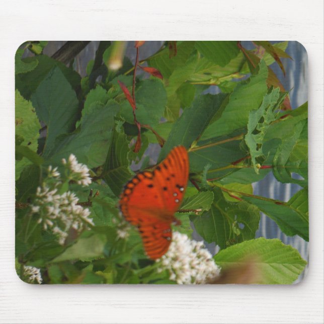 Tapis De Souris Papillon orange et noir au lac (Devant)