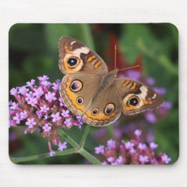 Tapis De Souris Papillon rouge commun sur Verbena Mousepad