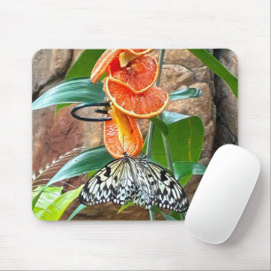 Tapis De Souris Papillons Nymphes des Arbres Se Nourrissant d'Oran