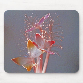 Tapis De Souris Papillons optiques rougeoyants de fibre
