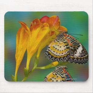 Tapis De Souris Papillons tropicaux Leopard Lacewing (Cethosia