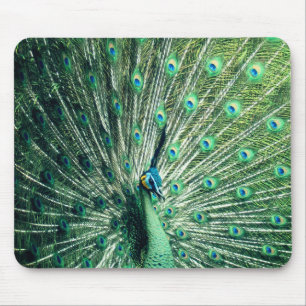 Tapis De Souris Parade du paon 