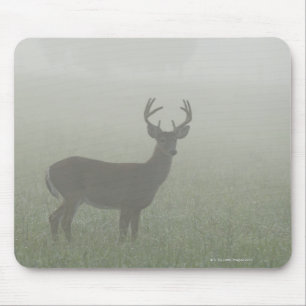 Tapis De Souris Parc national de Great Smoky Mountains, Tennesse,