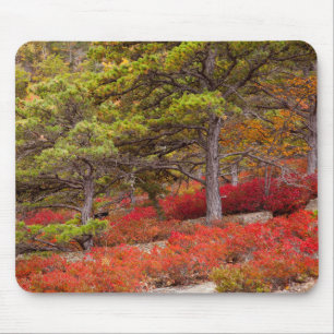 Tapis De Souris Parc national de l'Acadie, Maine