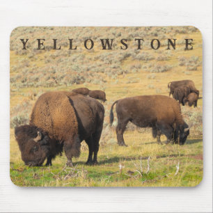 Tapis De Souris Parc national de Lamar Valley Bison Yellowstone