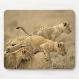 Tapis De Souris Parc national de Serengeti, Tanzanie 2