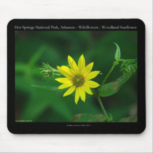 Tapis De Souris Parc national des sources chaudes Cadeaux de tourn