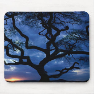 Tapis De Souris Parc national du Serengeti, Tanzanie