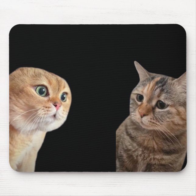 Tapis De Souris Parler Chats Mème Souris Pad (Devant)