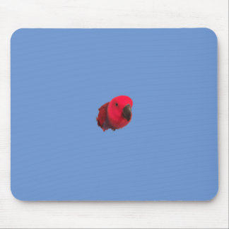 Tapis De Souris Parroser le pavé