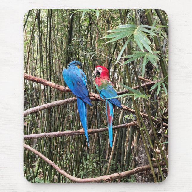 Tapis De Souris Parrot Oiseau Tropical Photo Souris Pad (Devant)