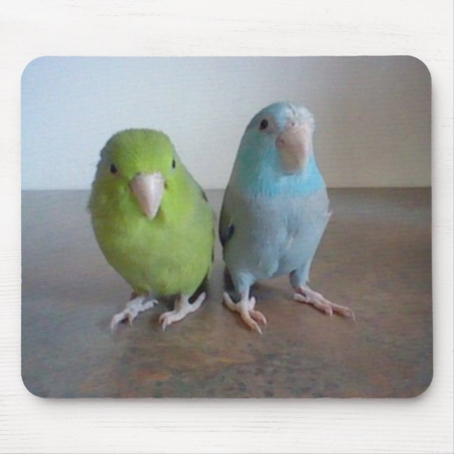 Tapis De Souris Parrotlet Mousepad (Devant)