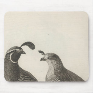 Tapis De Souris Partridge de Californie
