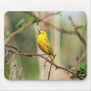 Tapis De Souris Paruline jaune chante