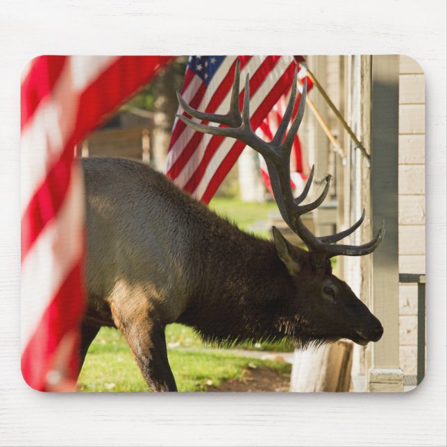 Tapis De Souris Patriotique Bull Elk (Devant)