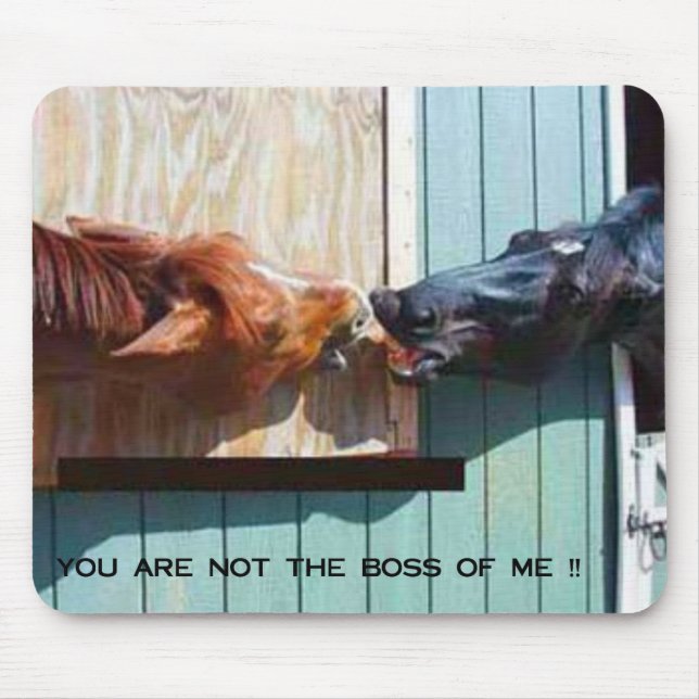 TAPIS DE SOURIS PATRON (Devant)