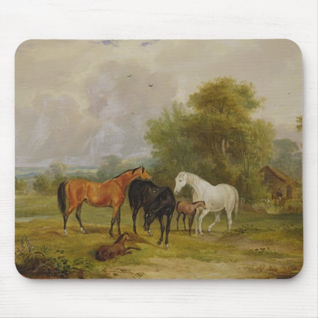 Tapis De Souris Pâturage de chevaux : Juments et poulains dans un (Devant)