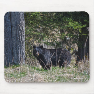 Tapis De Souris Pâturage Ours noir sauvage Photo Faune