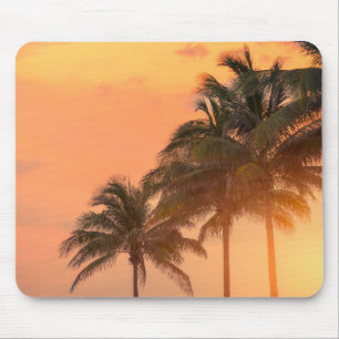 Tapis De Souris Paumes de Miami