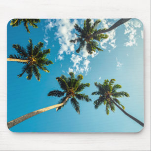 Tapis De Souris Paumes sur skateboard ciel bleu