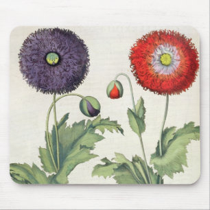 Tapis De Souris Pavots : incarnato de multiplici du flore