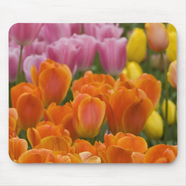 Tapis De Souris Pays-Bas aka Holland), Lisse. Keukenhof 4 (Devant)