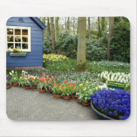 Pays-Bas aka Hollande), Lisse. Keukenhof 11
