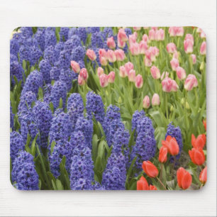 Tapis De Souris Pays-Bas aka Hollande), Lisse. Keukenhof 2