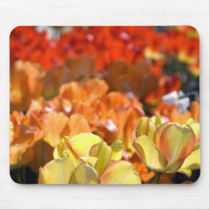 Tapis De Souris Pays-Bas alias Hollande), Lisse. Keukenhof