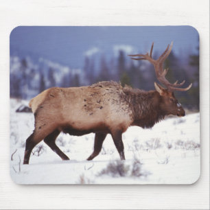 Tapis De Souris Pays du cerf