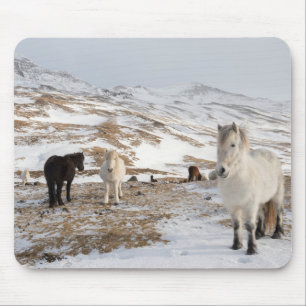 Tapis De Souris Paysage avec chevaux islandais