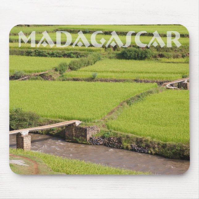 Tapis De Souris Paysage de rizières à Madagascar (Devant)