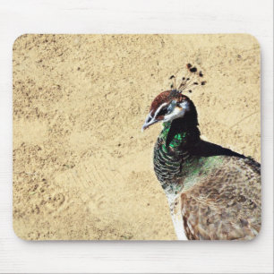Tapis De Souris Peacock