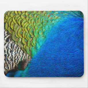 Tapis De Souris Peacock Feathers IV Colorful Abstrait Nature