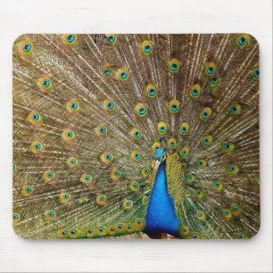 Tapis De Souris Peacock Motif Peacock Artisanat Peacock Peinture A