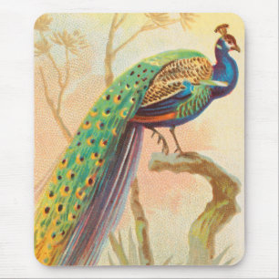 Tapis De Souris Peacock vintage sur une branche