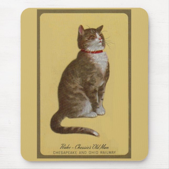 Tapis De Souris Peake, le chat tabby de Chessie (Devant)