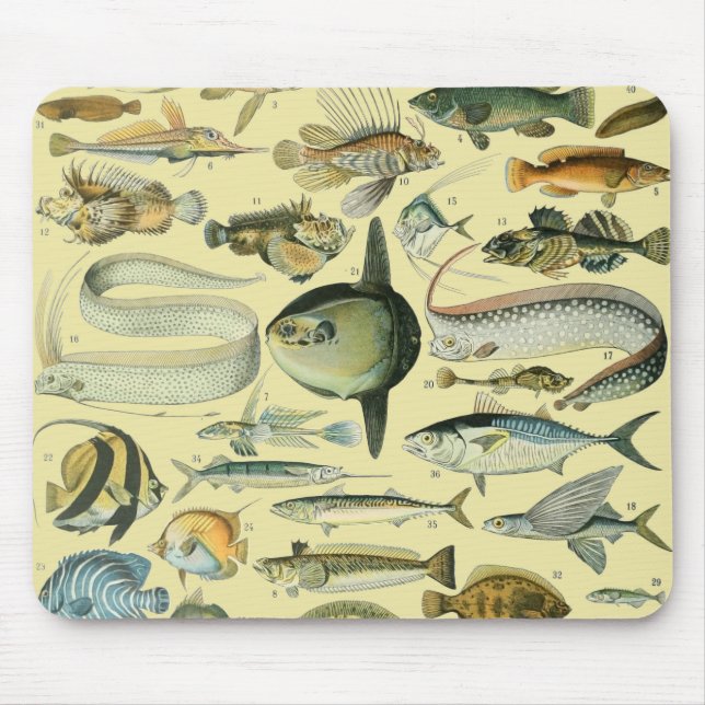 Tapis De Souris Pêche scientifique vintage (Devant)