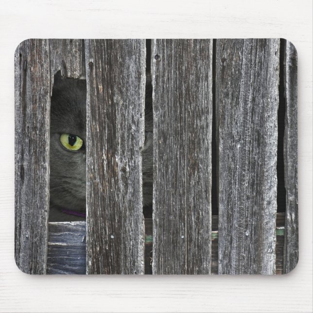 Tapis De Souris Peepin Tom (Devant)