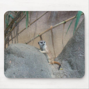 Tapis De Souris Peerkat Meerkat