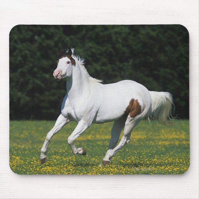 Tapis De Souris Peignez le cheval fonctionnant dans le domaine (Devant)