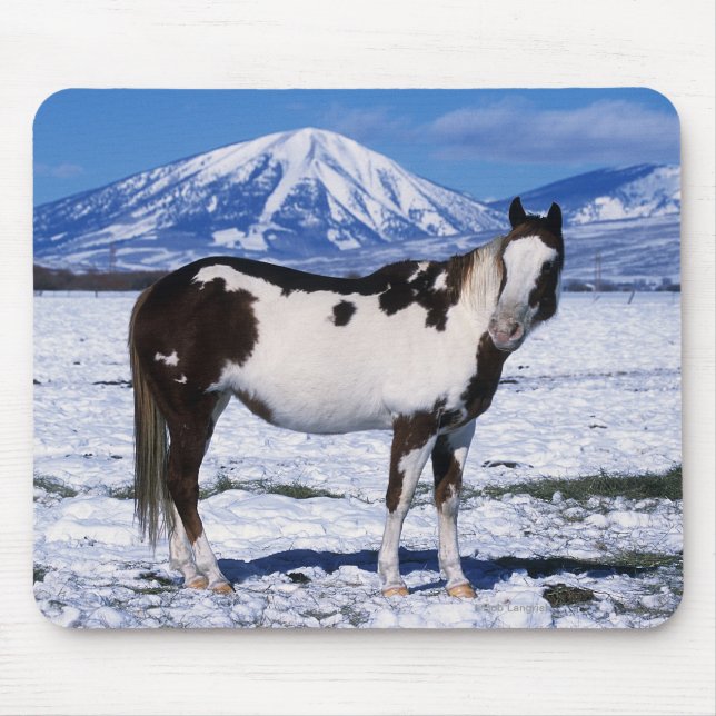Tapis De Souris Peignez le cheval se tenant dans la neige (Devant)