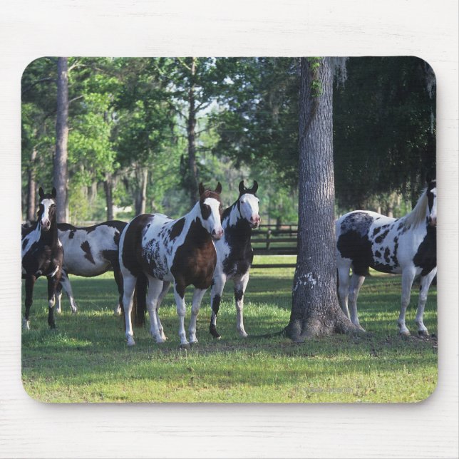 Tapis De Souris Peignez les chevaux dans les arbres (Devant)