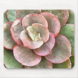 Tapis De Souris Peinture acrylique Succulente Echeveria Cactus