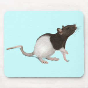Tapis De Souris Peinture de rat pour animaux