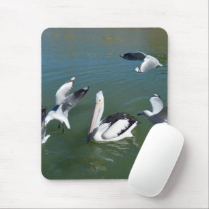 Tapis De Souris Pélican Et Les Crashers De Portes,