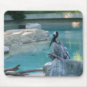 Tapis De Souris Pélican Mousepad