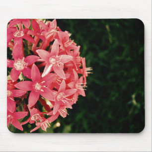 Tapis De Souris Pentas rose